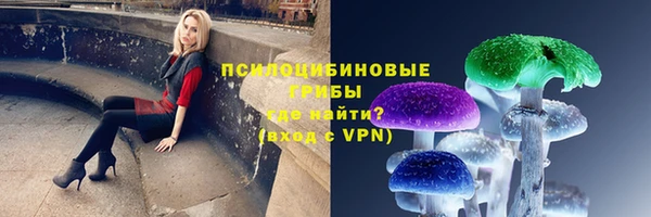 мескалин Козловка